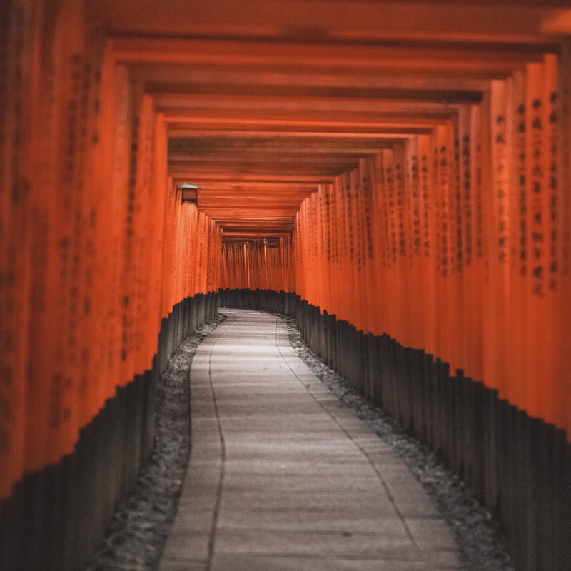 The Vibrant Red of Japanese Culture: Symbol of Protection, Strength, and Hope